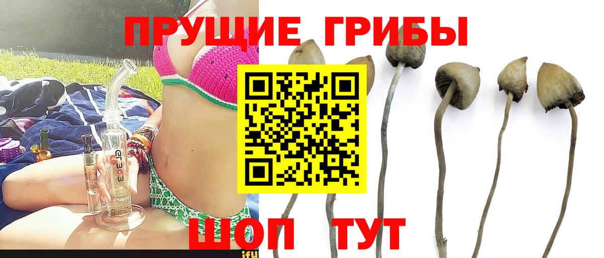 наркотики  Вход с VPN  Южно-Сахалинск  Псилоцибиновые грибы Magic Shrooms 