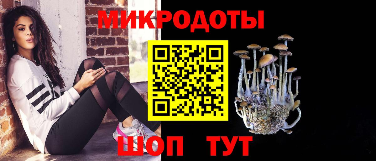 Галлюциногенные грибы Psilocybine cubensis Южно-Сахалинск
